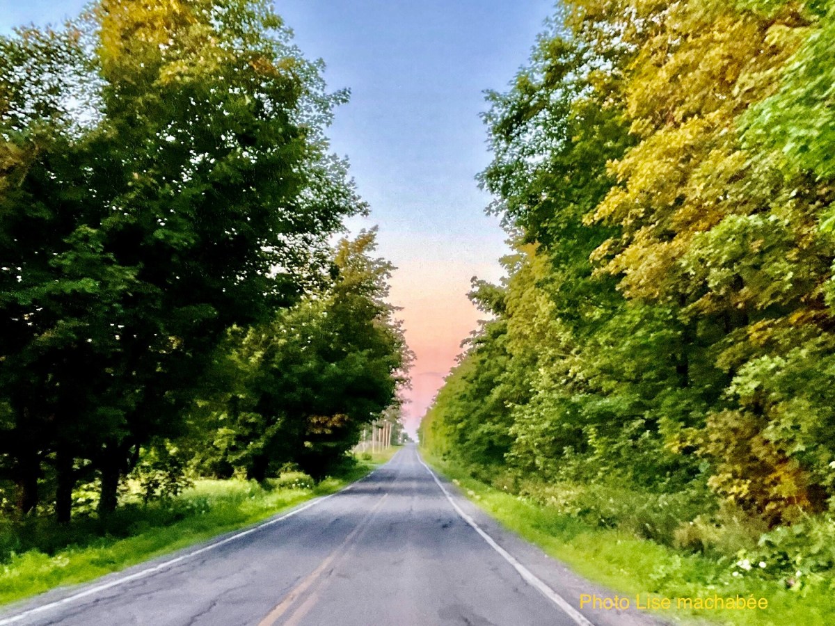 Se plonger au Cœur de notre Être vers notre&nbsp;libération