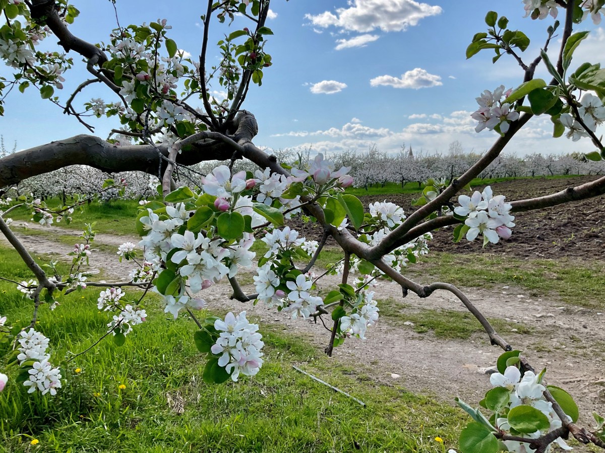 Trouvons l&rsquo;équilibre et l&rsquo;harmonie dans la pleine responsabilisation de nos états intérieurs par la prise de Conscience et  l&rsquo;acceptation inconditionnelle